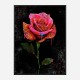 Graffiti Rose Art Print Graffiti Rose Art Print