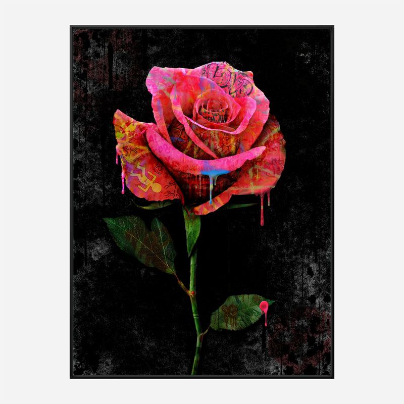 Graffiti Rose Art Print Graffiti Rose Art Print