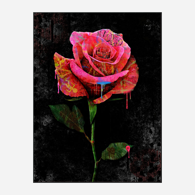 Graffiti Rose Art Print Graffiti Rose Art Print