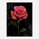 Graffiti Rose Art Print Graffiti Rose Art Print