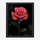 Graffiti Rose Art Print Graffiti Rose Art Print
