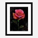Graffiti Rose Art Print Graffiti Rose Art Print