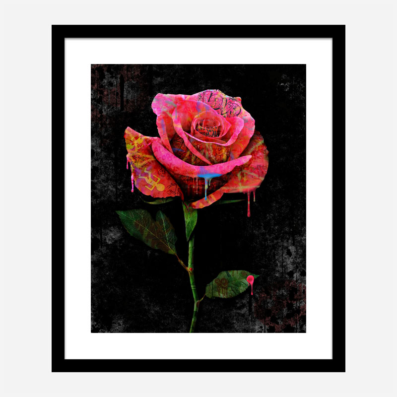 Graffiti Rose Art Print Graffiti Rose Art Print