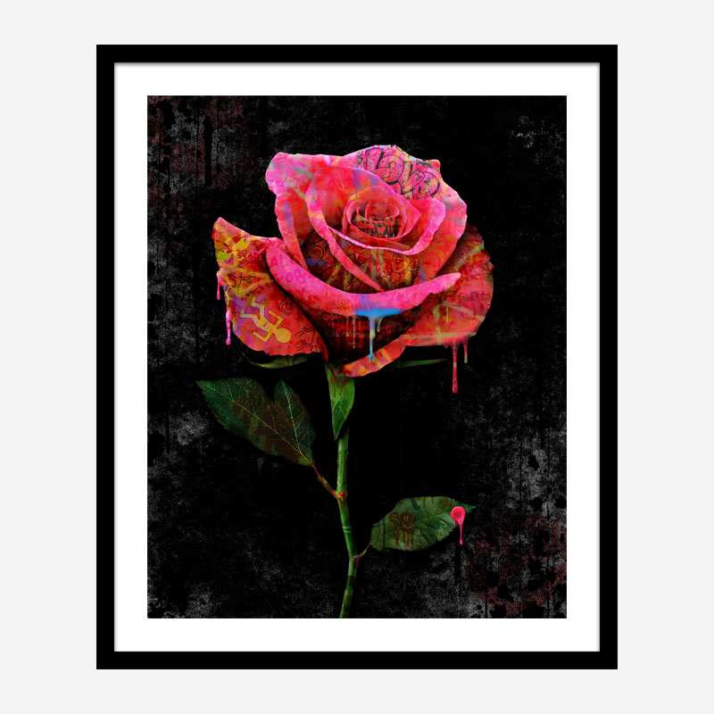 Graffiti Rose Art Print Graffiti Rose Art Print