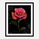 Graffiti Rose Art Print Graffiti Rose Art Print
