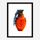 LV Orange Grenade Wall Art LV Orange Grenade Wall Art