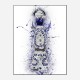 Clase Azul Reposado Tequila Abstract Art Print Clase Azul Reposado Tequila Abstract Art Print