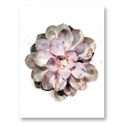 Succulent 01 Wall Art Print