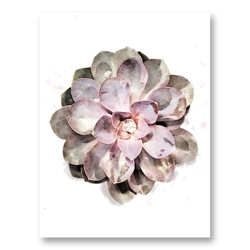 Succulent 01 Wall Art Print