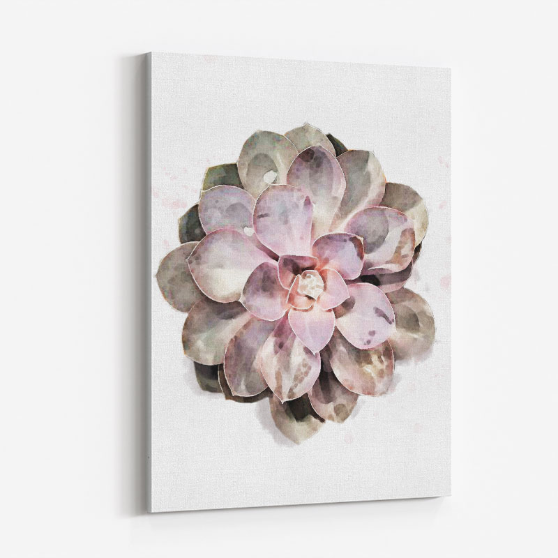 Succulent 01 Wall Art Print