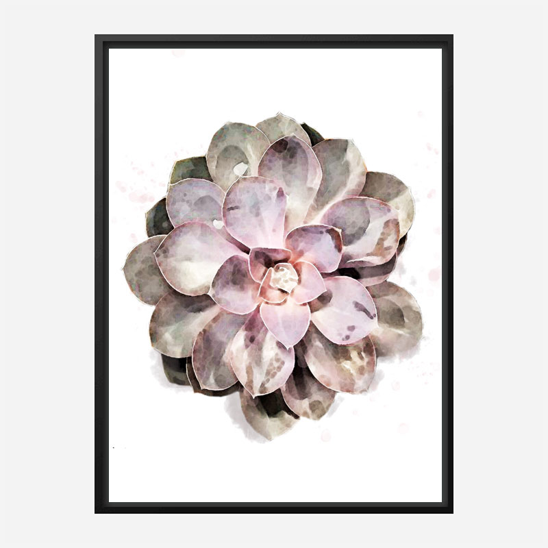 Succulent 01 Wall Art Print Succulent 01 Wall Art Print