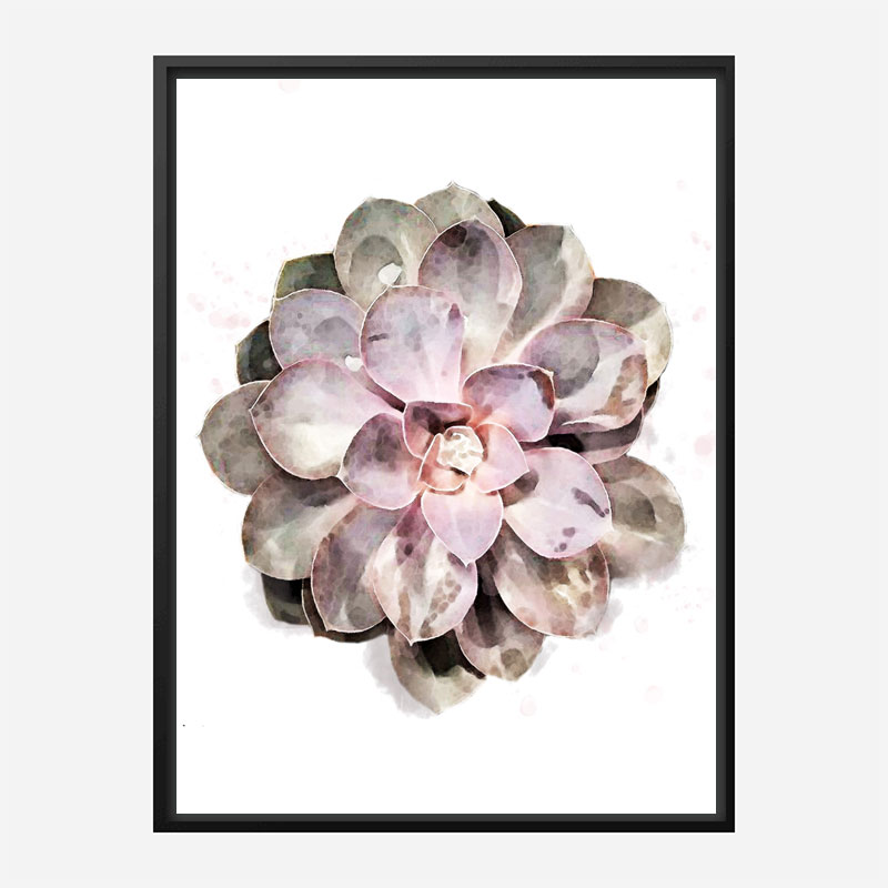 Succulent 01 Wall Art Print