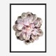Succulent 01 Wall Art Print Succulent 01 Wall Art Print