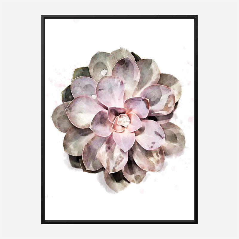 Succulent 01 Wall Art Print