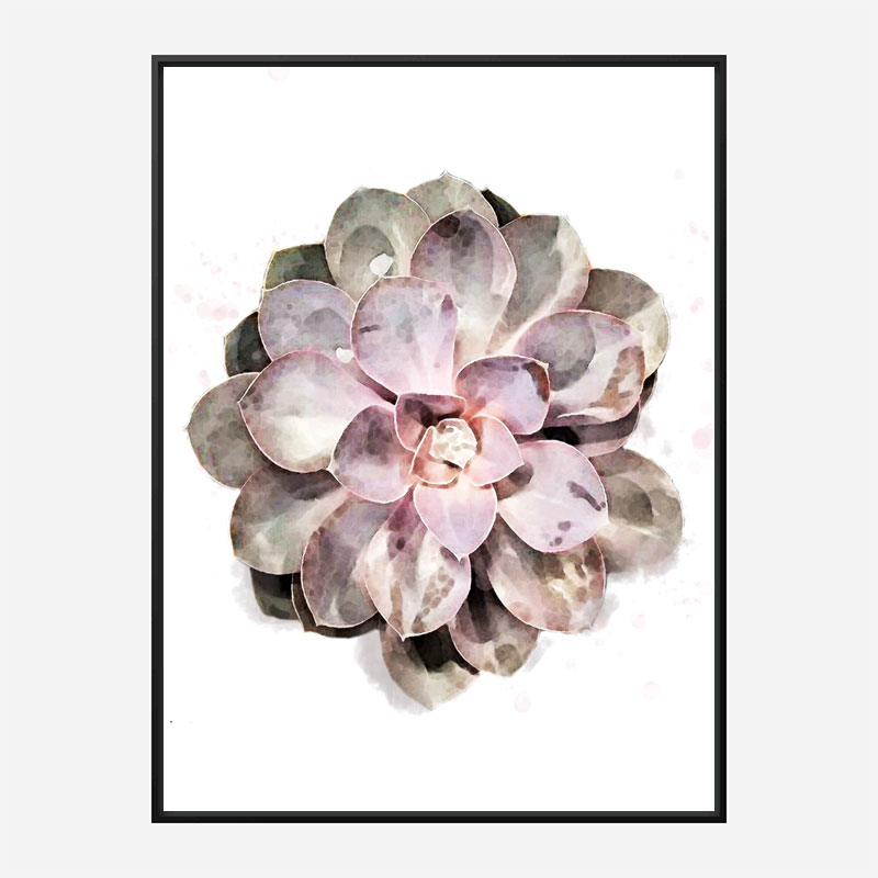 Succulent 01 Wall Art Print Succulent 01 Wall Art Print