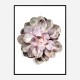 Succulent 01 Wall Art Print Succulent 01 Wall Art Print