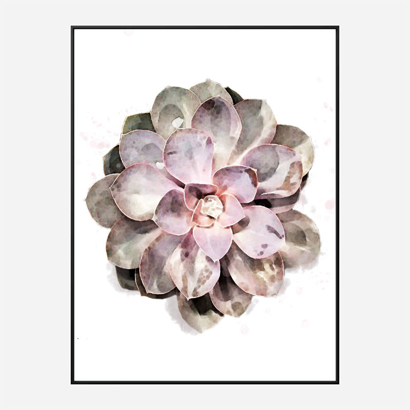 Succulent 01 Wall Art Print