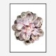 Succulent 01 Wall Art Print Succulent 01 Wall Art Print