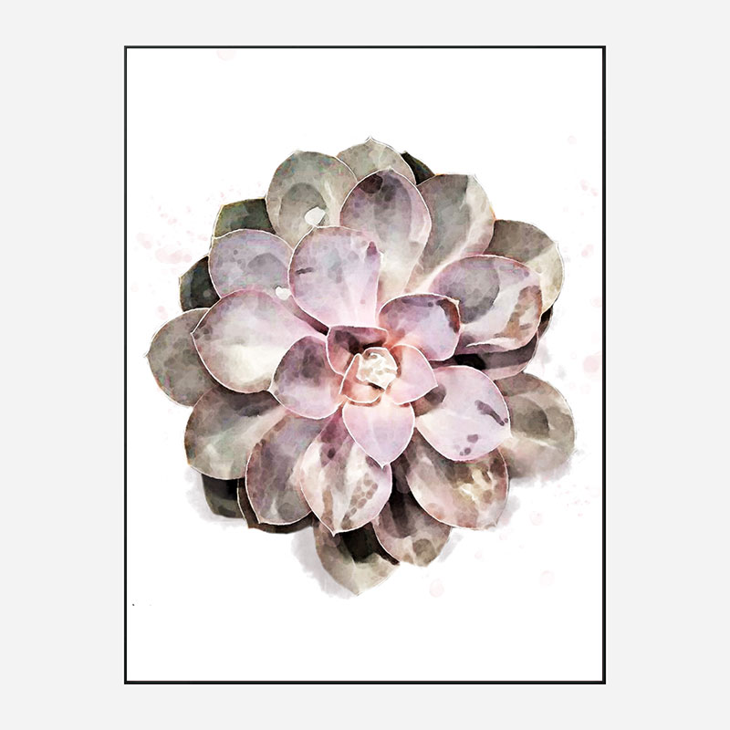 Succulent 01 Wall Art Print