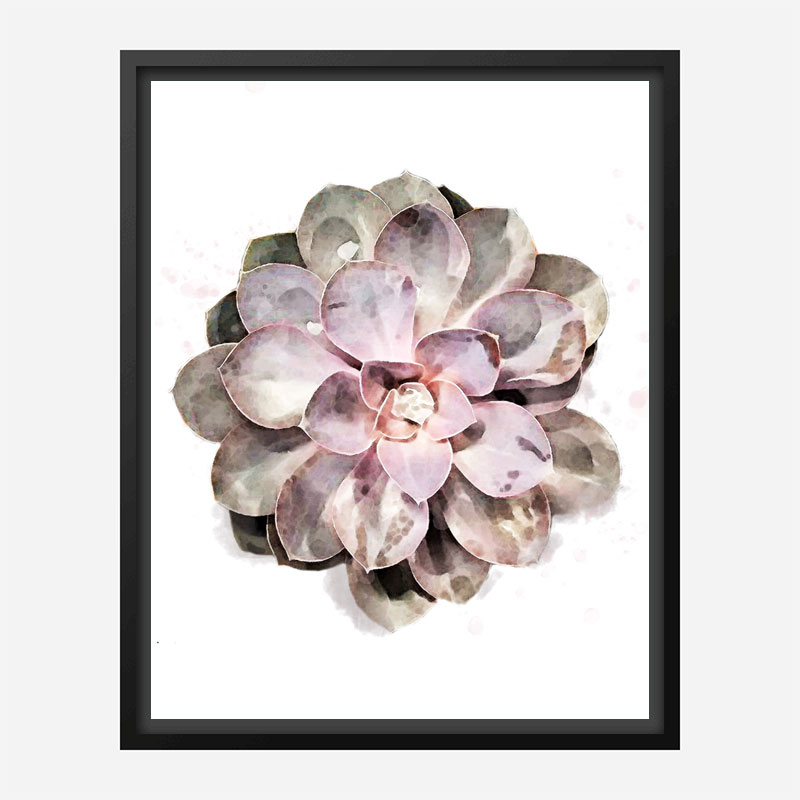 Succulent 01 Wall Art Print Succulent 01 Wall Art Print