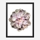 Succulent 01 Wall Art Print Succulent 01 Wall Art Print