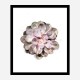 Succulent 01 Wall Art Print Succulent 01 Wall Art Print