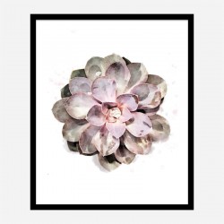 Succulent 01 Wall Art Print