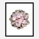 Succulent 01 Wall Art Print Succulent 01 Wall Art Print