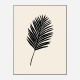 Black Palm Wall Art Print