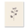Poster Print 