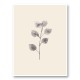 Eucalyptus Twig Wall Art Print Eucalyptus Twig Wall Art Print