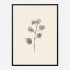 Eucalyptus Twig Wall Art Print Eucalyptus Twig Wall Art Print