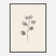 Eucalyptus Twig Wall Art Print Eucalyptus Twig Wall Art Print