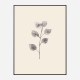 Eucalyptus Twig Wall Art Print Eucalyptus Twig Wall Art Print