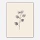 Eucalyptus Twig Wall Art Print Eucalyptus Twig Wall Art Print
