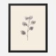 Eucalyptus Twig Wall Art Print Eucalyptus Twig Wall Art Print