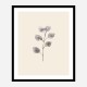 Eucalyptus Twig Wall Art Print Eucalyptus Twig Wall Art Print