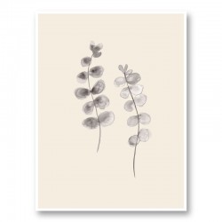 Eucalyptus Twigs Wall Art Print