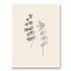 Eucalyptus Twigs Wall Art Print Eucalyptus Twigs Wall Art Print