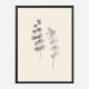 Eucalyptus Twigs Wall Art Print Eucalyptus Twigs Wall Art Print