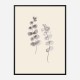 Eucalyptus Twigs Wall Art Print Eucalyptus Twigs Wall Art Print