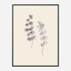 Eucalyptus Twigs Wall Art Print Eucalyptus Twigs Wall Art Print