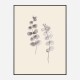 Eucalyptus Twigs Wall Art Print Eucalyptus Twigs Wall Art Print