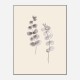Eucalyptus Twigs Wall Art Print Eucalyptus Twigs Wall Art Print