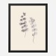 Eucalyptus Twigs Wall Art Print Eucalyptus Twigs Wall Art Print
