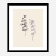 Eucalyptus Twigs Wall Art Print Eucalyptus Twigs Wall Art Print