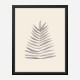 Palm Leaf Ink Wall Art Print Palm Leaf Ink Wall Art Print