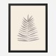 Palm Leaf Ink Wall Art Print