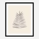Palm Leaf Ink Wall Art Print Palm Leaf Ink Wall Art Print