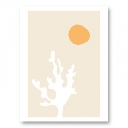 Seaweed in the Sun Wall Art Print